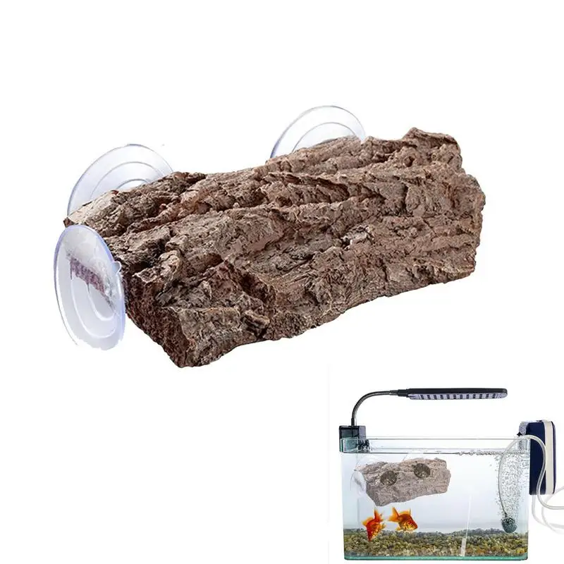 

Рептилии-черепахи, рептилии, хамелеоны, лягушки, ящерицы, черепахи