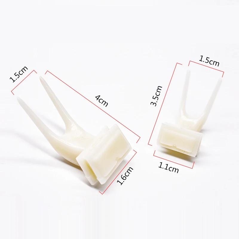 2Pcs Birds Parrots Fruit Fork Pet Supplies Plastic Food Holder Feeding on Cage 2size Parakeet Accessories |