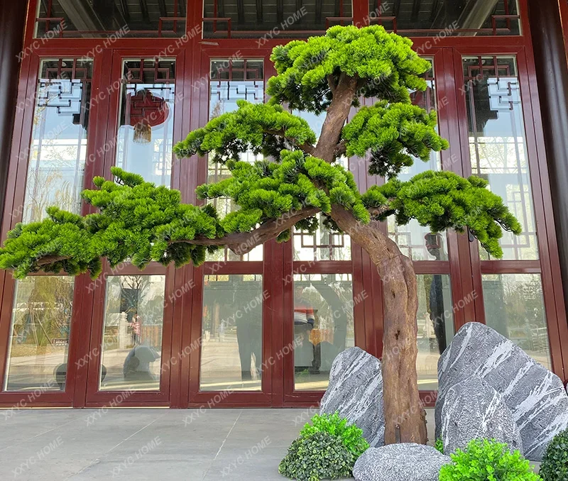 Иньке Сосна Поддельные Деревья Моделирование Красота Бонсай Podocarpus Макрофилл