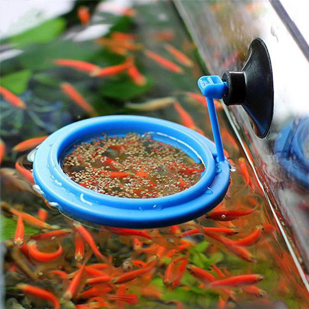

New Aquarium Feeding Ring Fish Tank Station Floating Food Tray Square Circle Accessory Water Plant Buoyancy Suction