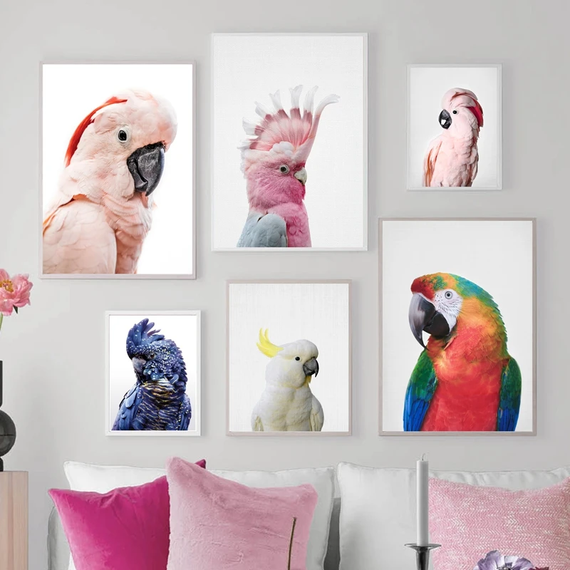 Розовый такаду австралийская птица большой постер с тропическими животными