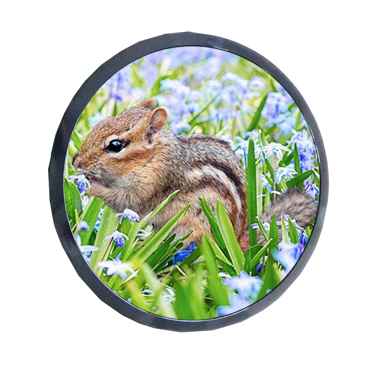 

Big Size 23.6 Inch Circular Lcd Module 1280*1280 Resolution LVDS Interface Round Ips Tft Lcd Display Commercial Digital Display