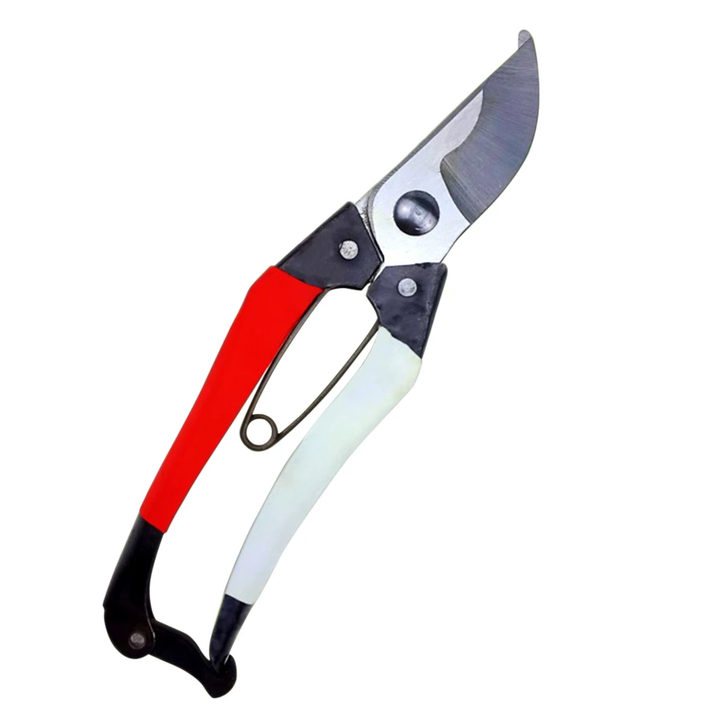 

Two-color Iron Handle Rough Branch Shears Fruit Branch Fruit Tree Pruning Shears Gardening Tools Material PVC And Alloy Plastic