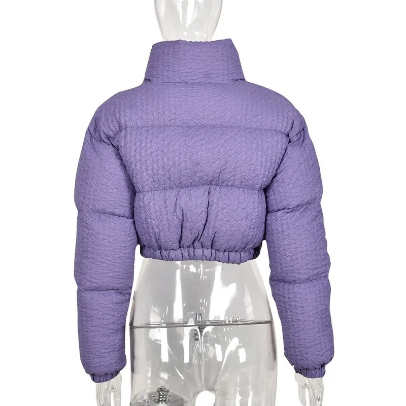 2023 Autumn and Winter New Women's Fashion Solid Color Padded Jacket Long-sleeved Warm Stand-up Collar Zipper Short Down Jacket