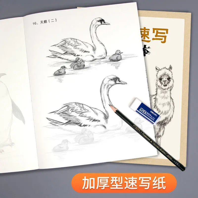 Животный эскиз книга для копирования на кальку нулевой основе живопись