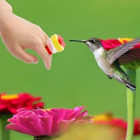 9 packs hummingbird ring feeder plastic wrist water feeding set cute suitable flower design easy to use clean dropshipping
