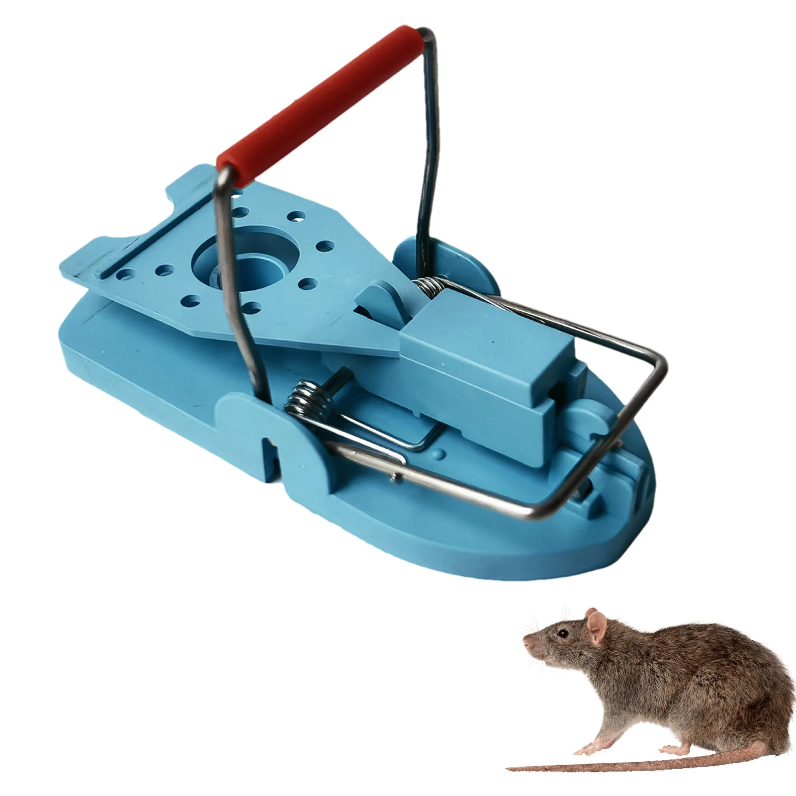 

Reusable Mouse Traps Bait Snap Clamp Snap Spring Catchers 6Pcs 1 Set Repelled Weasel Catching Mouse Traps Mousetrap Home Garden