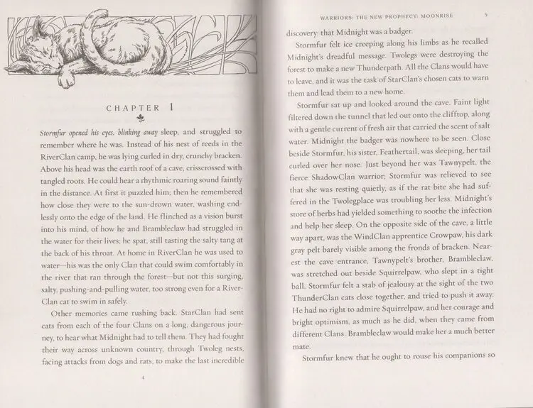 Рисунок 5 - Английские Детские романы кошка