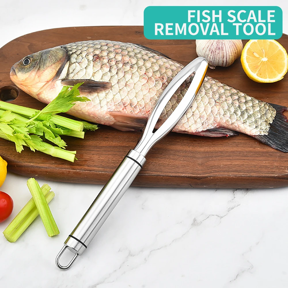 

ish Cleaning Scraping Scales With Knife Home Kitchen Cleaning Tools Fish Scale Peeler Scraper Brush