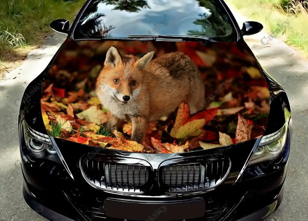 

Наклейка на капот автомобиля в виде милой красной лисы