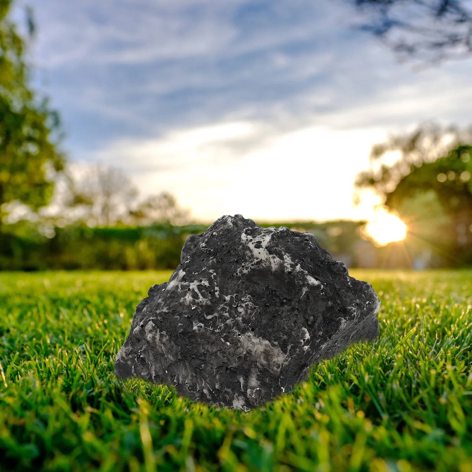 

Держатель для ключей, реалистичное украшение для аквариума, ландшафта