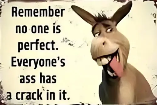 Помните нет одной идеально устойчивый к атмосферным воздействиям забавный