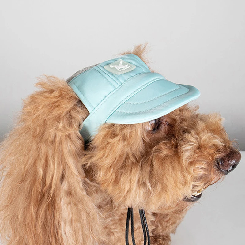 viseras de perros – Compra perros con envío gratis en AliExpress version