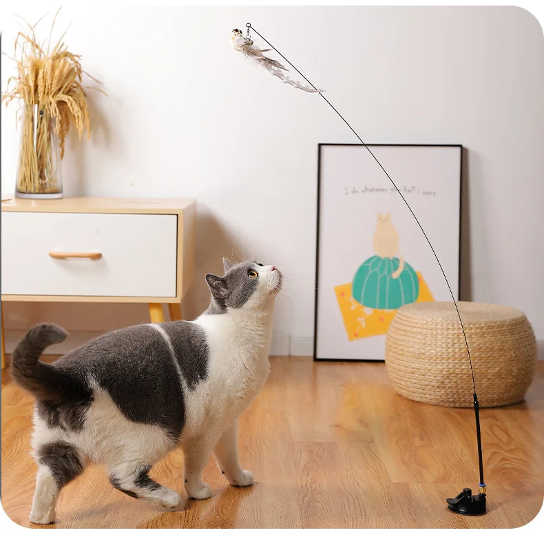 

Feather Funny Cat Stick Long Rod Replaceable Head Cat Toy Self-Hi Cat Artifact Molar Anti-bite Kitten Supplies Toys Cat Supplies