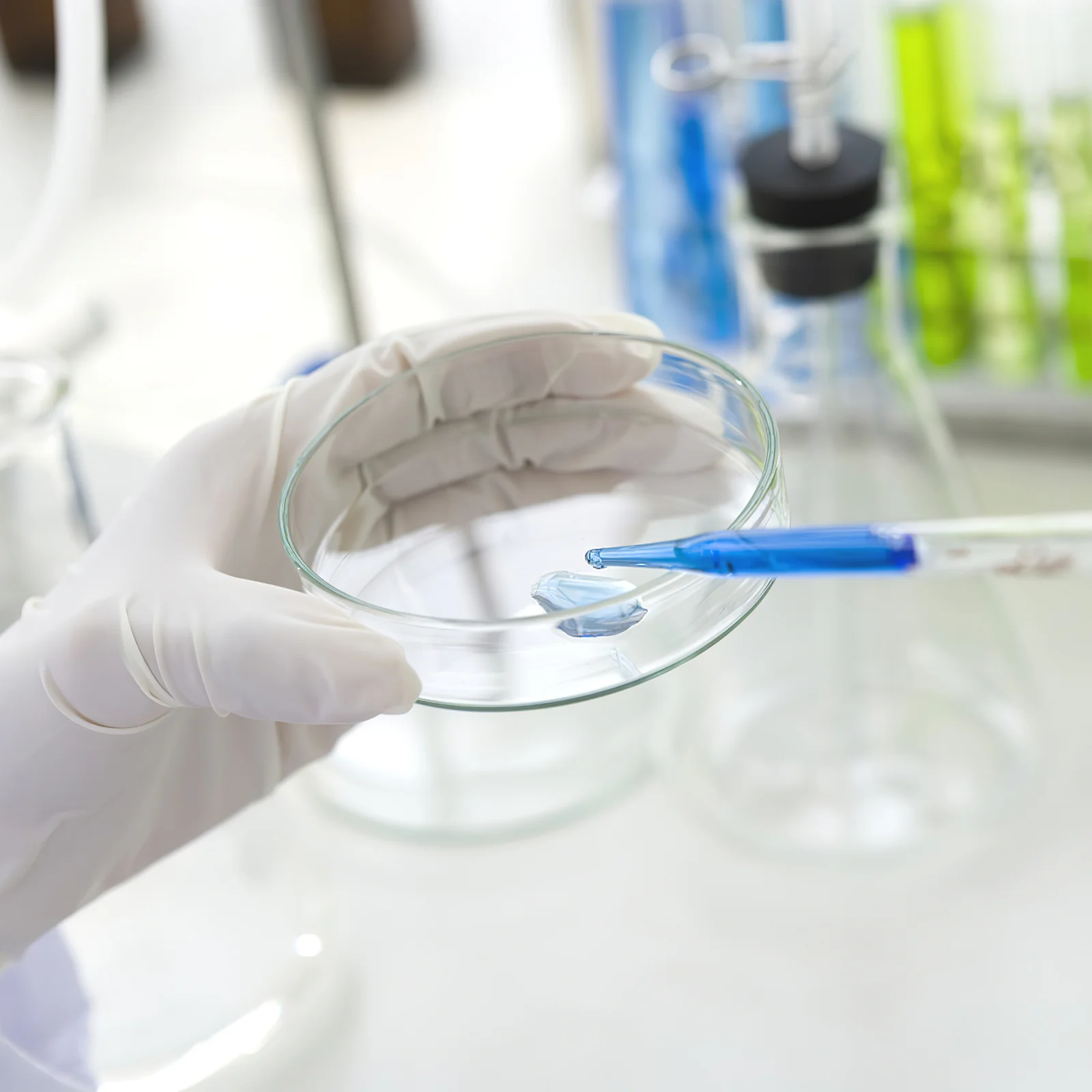 Рисунок 4 - стеклянная плитка Петри