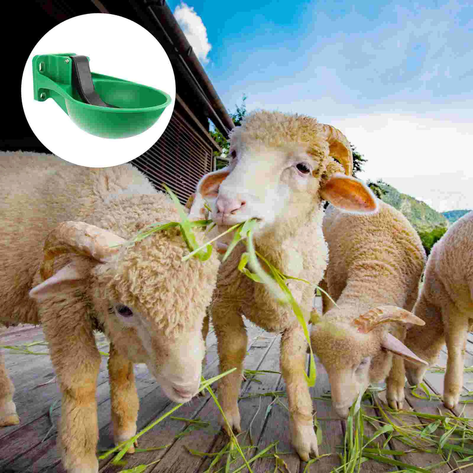 

Water Livestock Automatic Drinker Bowl Feeder Waterer Drinking Sheep Cow Horse Trough Large Poultry Cattle Dog Buckets Supplies