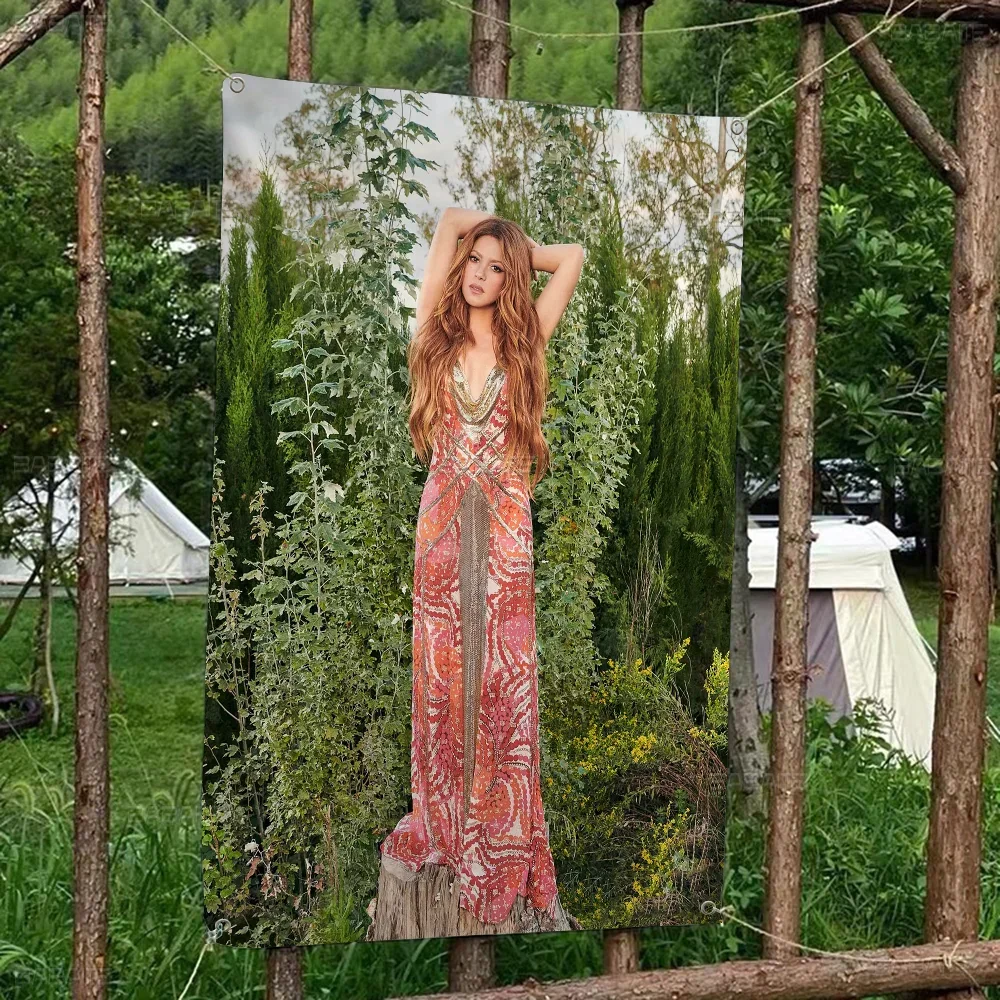 Поп-культура графика Шакира Мультфильм Флаг искусство научная фантастика