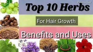Extreme Hair Growth Oil Chebe Extra Strength Formula with Amla Coconut for Receding Hairline DHT Blocker |