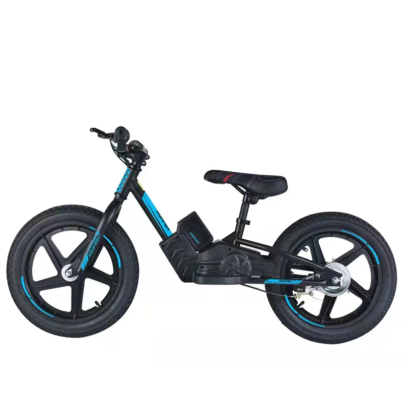 

Electric Kids Balance Bike Children Bicycle 16 Inch Colored Steel Bead Training Bike 5-12 years old