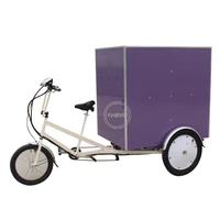 pedal three wheels mobile electric cargo bike adult transport tricycle cargo box bicycle for sale