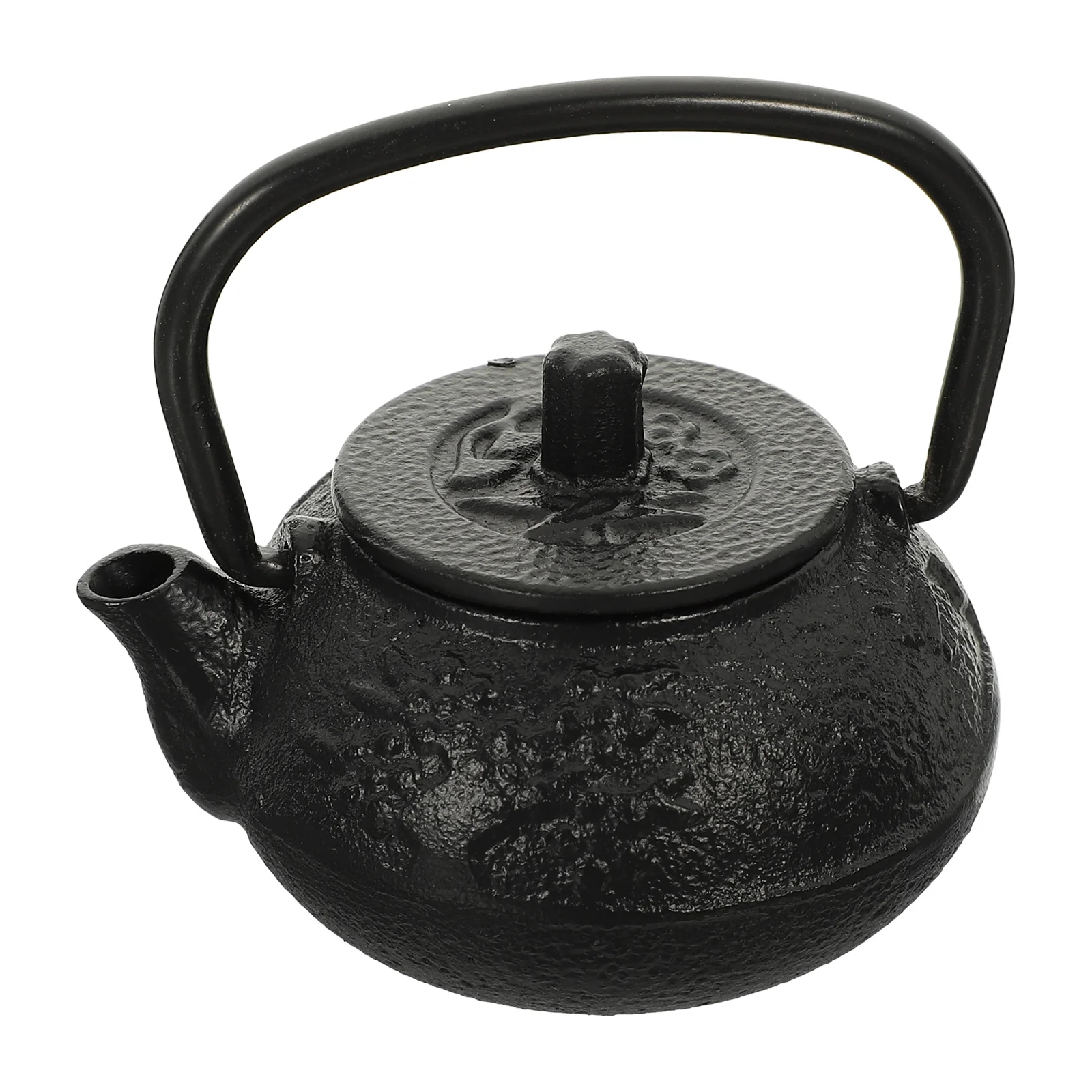 

Teapot Tea Kettle Japanese Iron Set Cast Chinese Pot Tetsubin Mini Coffee Stove Water Loose Stovetop Vintage Maker Boiling Fu