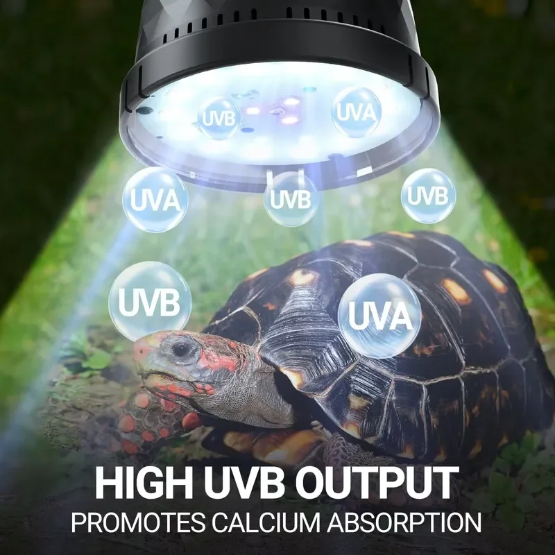 Фото Лампа для рептилий REPTIZOO Natural Sunlight Simulation Full Spectrum Sun Lamp 5.0 10.0 UVB UVA 5W, имитирующая естественный солнечный свет, экологически чистая. №5
