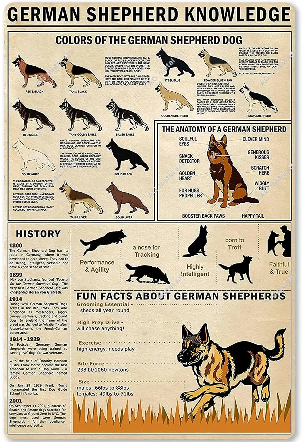 

Metal Tin Sign German Shepherd Knowledge Animal Unplaning Poster Retro School Infographics Farm Home Kitchen Wall Decoration