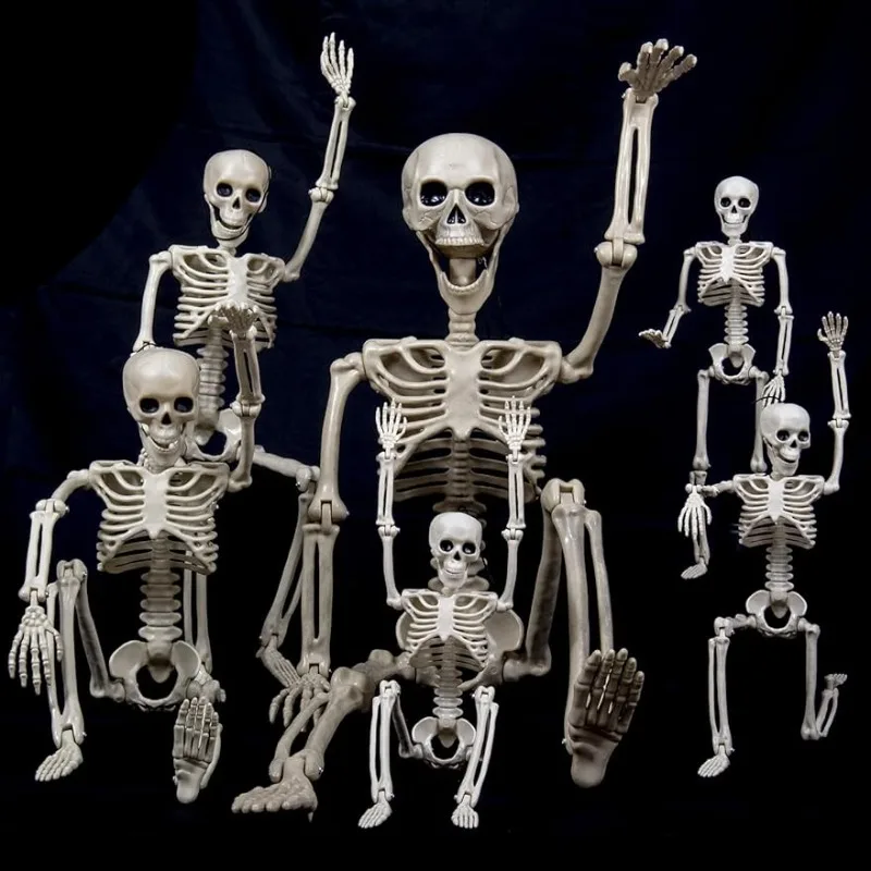 

HBSTK 6 Pack(1×40"+2×24"+3×16") Pose-N-Stay Halloween Skeleton Life Size Full Body Posable Movable Jonints for Halloween Decorat