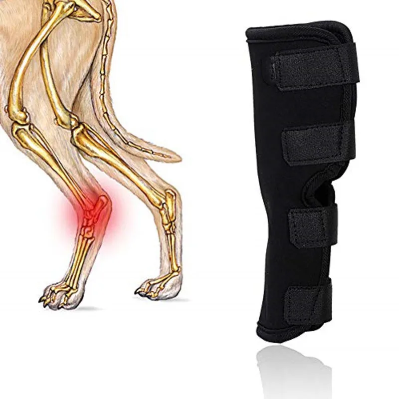 

Pet Dog Bandages Dog Injurie Leg Knee Brace Strap Protection For Dogs Joint Bandage Wrap Doggy Medical Supplies Dogs Accessories