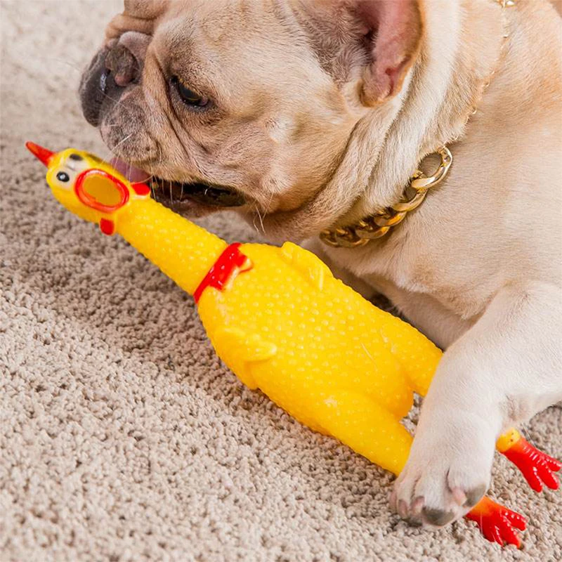 

Dog toy Shriek chicken big, medium and small pet toy creative prank toy pet vent products voice toy set