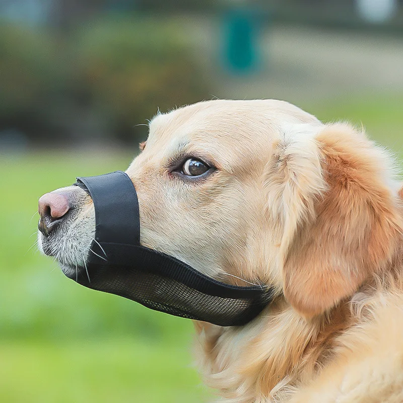 

Anti Barking Dog Muzzle For Small Large Dogs Adjustable Mesh Breathable Pet Mouth Muzzles For Dogs Nylon Straps Dog Accessories