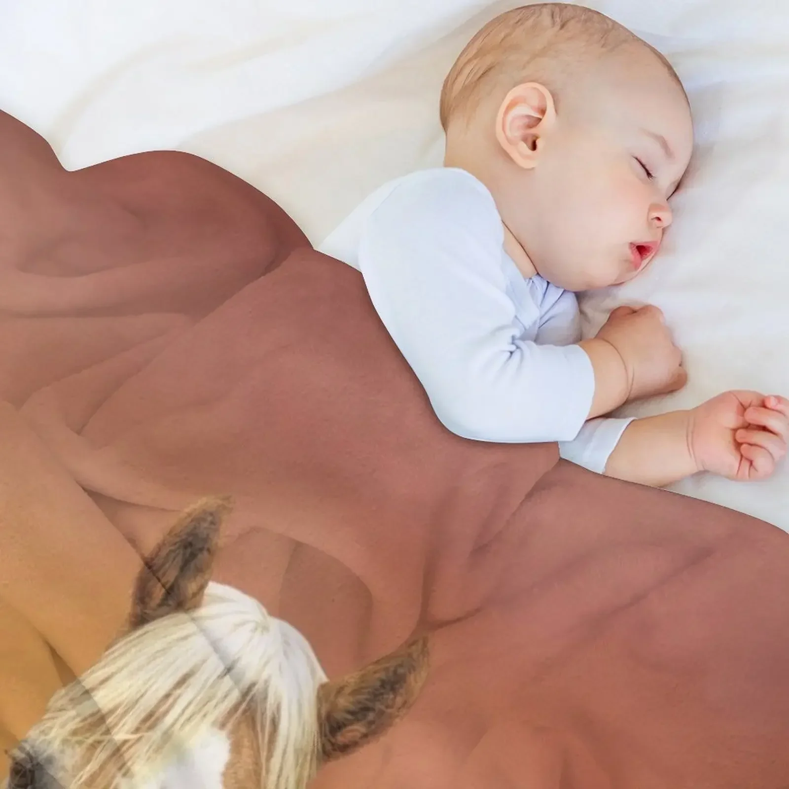 Любимое одеяло для лошадей одеяла диванов милые