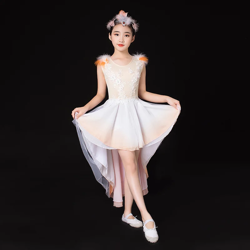 

2022 Modren Latin Dance Dress Tutu Ballroom Competition Kids Dance Costume Modern for Girl Salsa Tango Dancing Practice Clothing