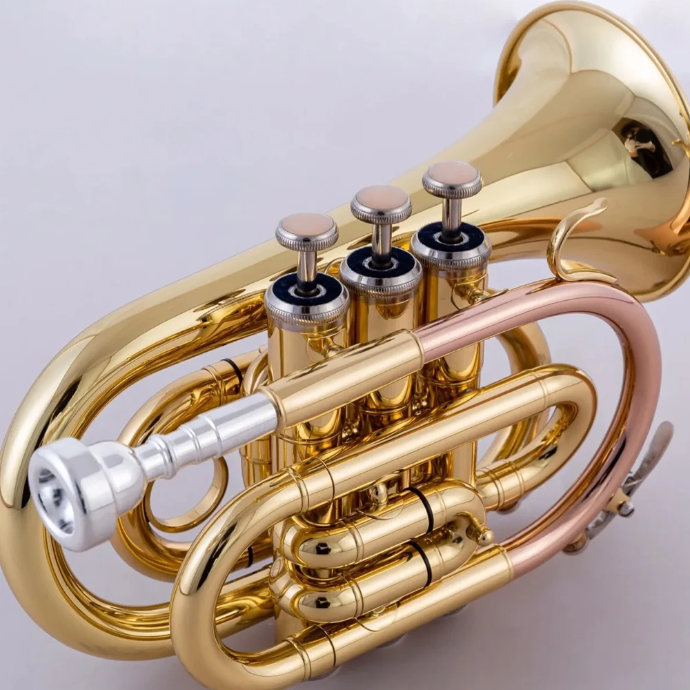

Palm trumpet B-flat flared brass mouthpiece pipe phosphor copper stainless steel piston lacquered gold jazz instrument with case