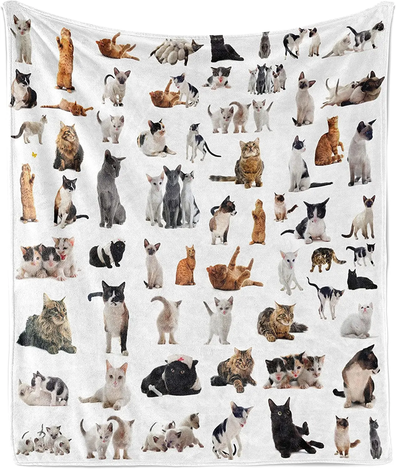 

Group of Cats and Kitten Lying Down Meowing Purebred Norwegian Siamese, Flannel Fleece Accent Piece Soft Couch Cover for Adults