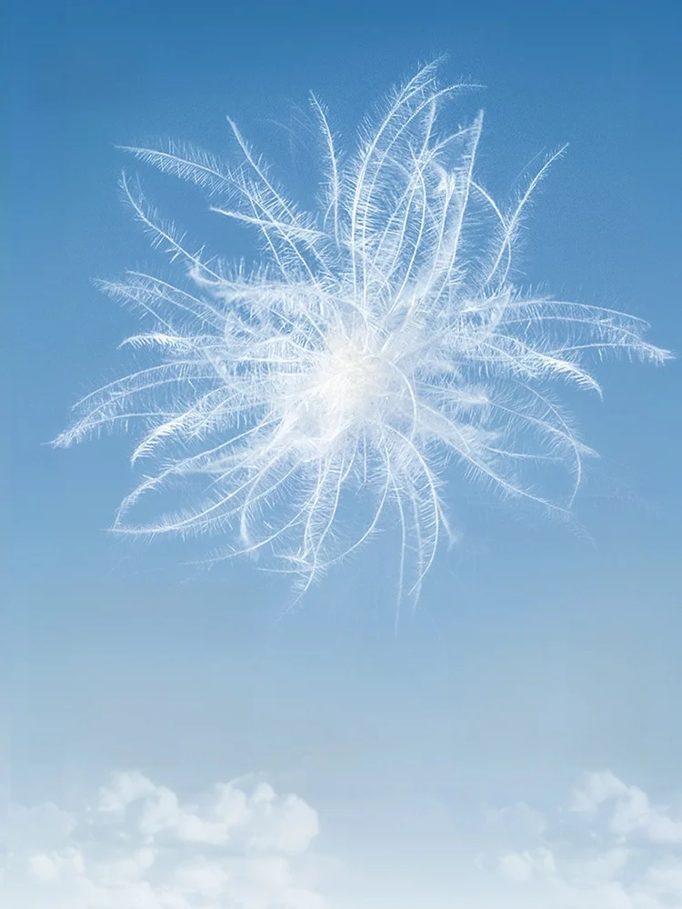 Женский пуховик с воротником-стойкой Senma однотонный свободного покроя из