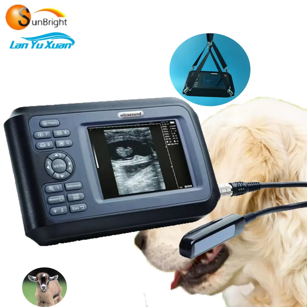 

Cheapest Handheld Veterinary Ultrasound With Rectal Probe For Horse Cattle Sheep
