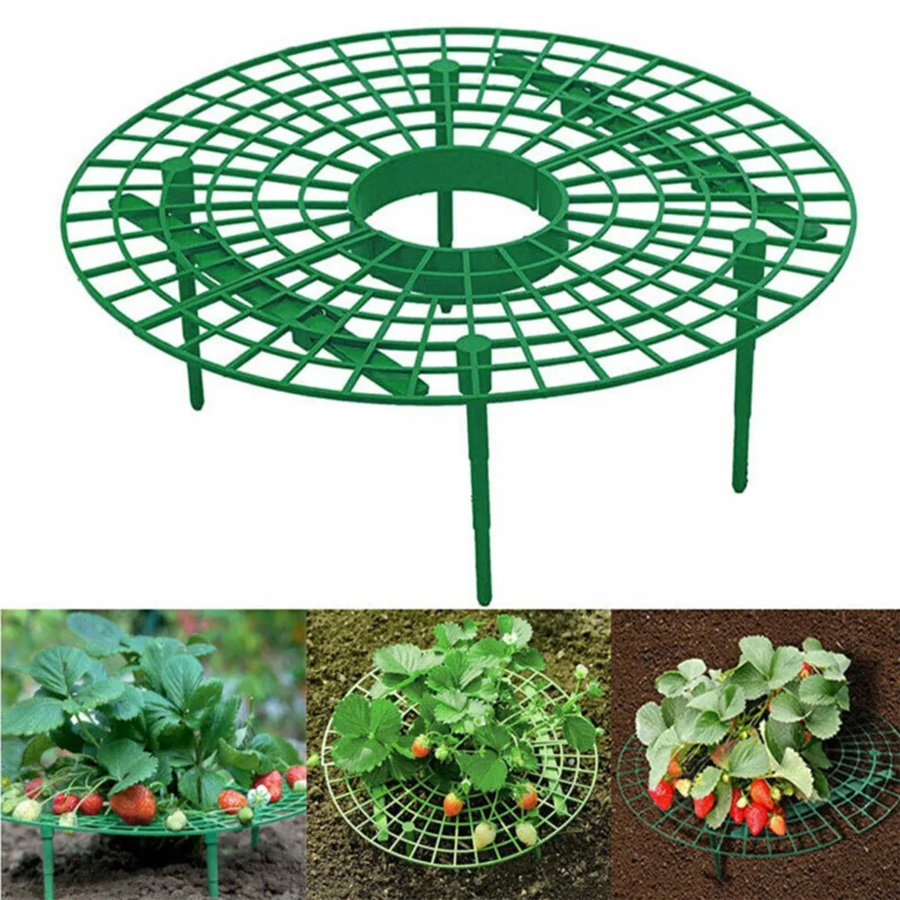 Plant Holder Strawberry Support Adjustable Plant Stand Dia 30cm For Vegetables Green Plastic Removable Affordable