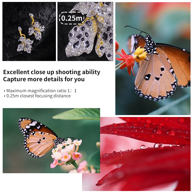 JYYXF AstrHori 85 мм F2.8 макро объектив для E/RF/X/Z/L