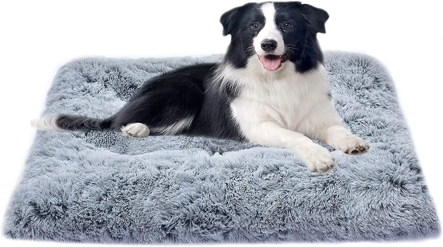 

Coussin pour chien, Lit pour chien pour chien de taille moyenne, lit pour chiot, lit pour chien doux et confortable, matelas de