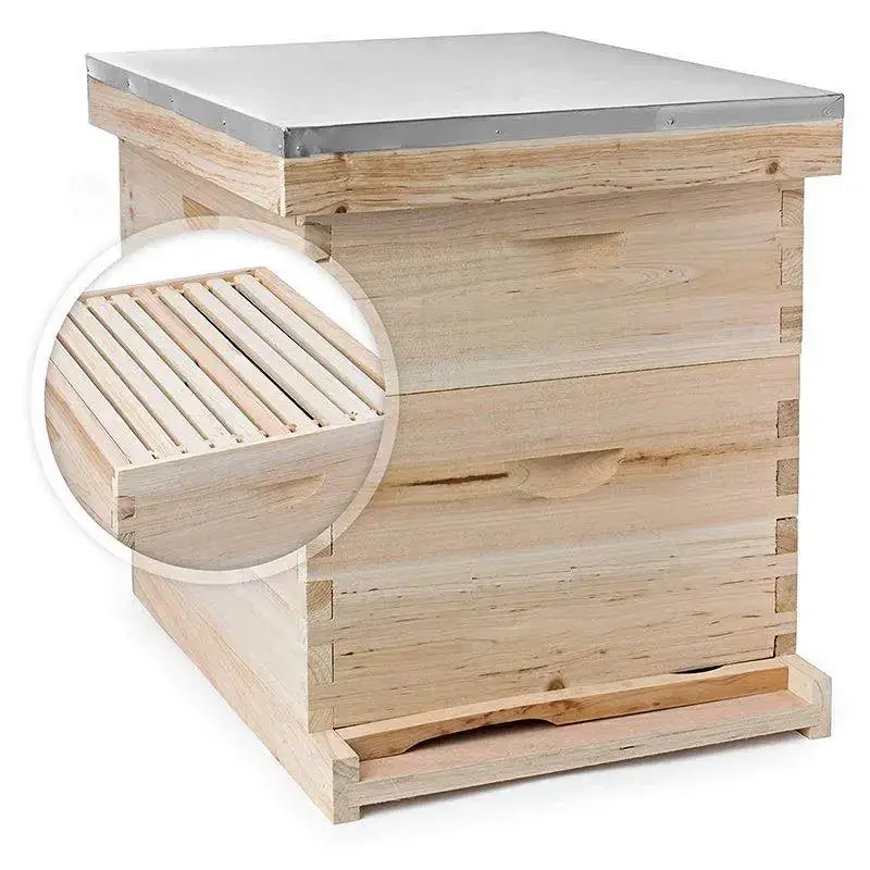 Langstroth Bee Equipment Пчеловодство пчелиный улей Boxs