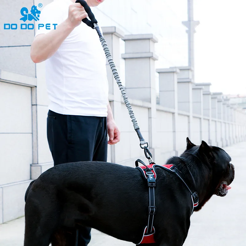 DODOPET pet leash dog go out to walk the dog rope explosion-proof red retractable rope dog rope dog chain