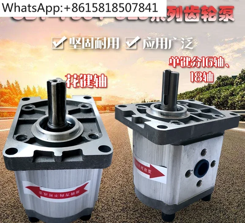 Шестеренчатый насос Гидравлический масляный