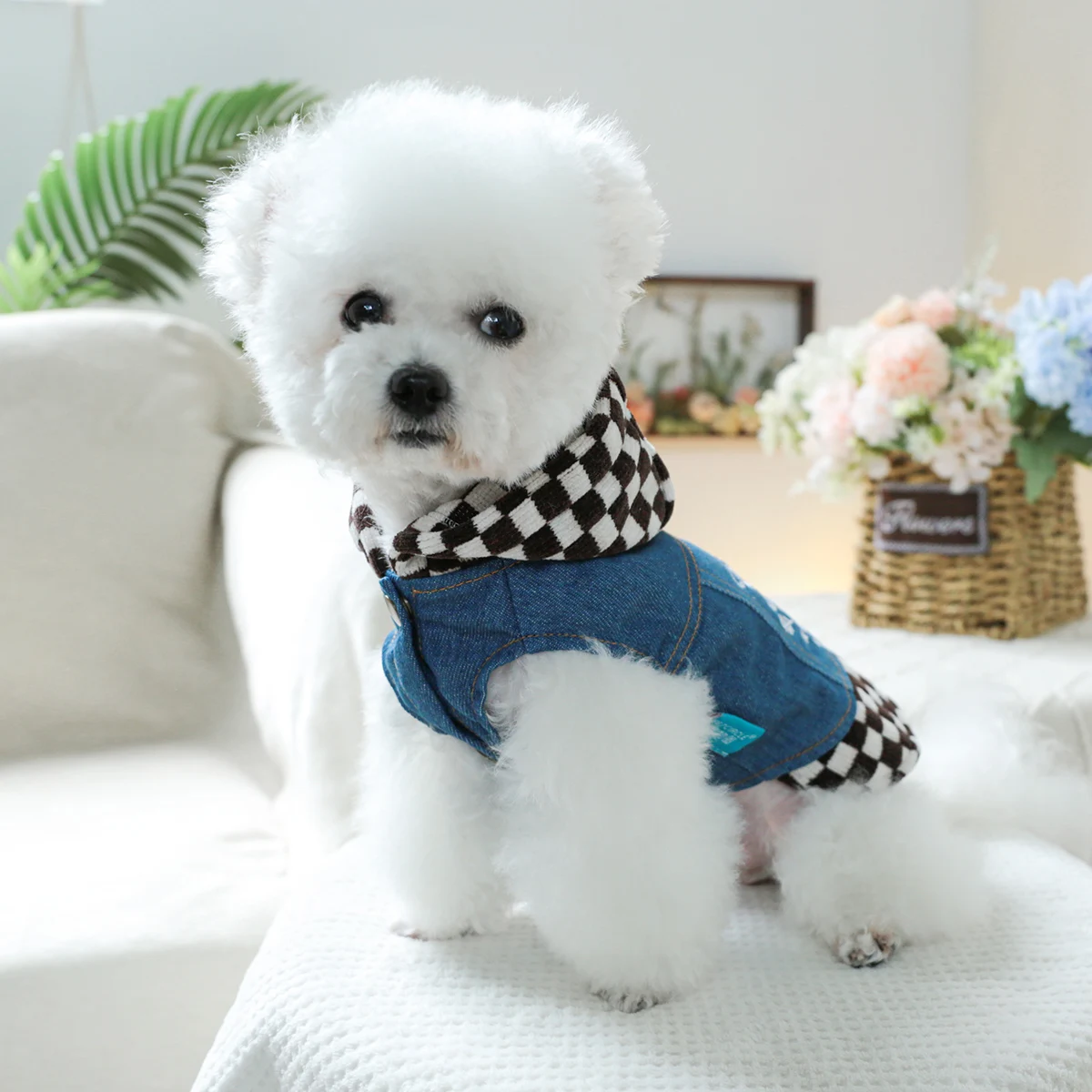 Одежда для домашних собак Весенне-осенняя коричнево-белая джинсовая шапка Kori со