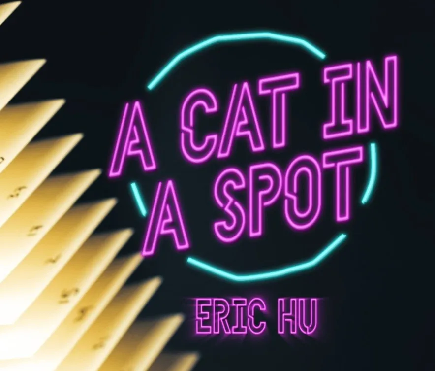 

A Cat in a Spot by Eric Hu Magic tricks