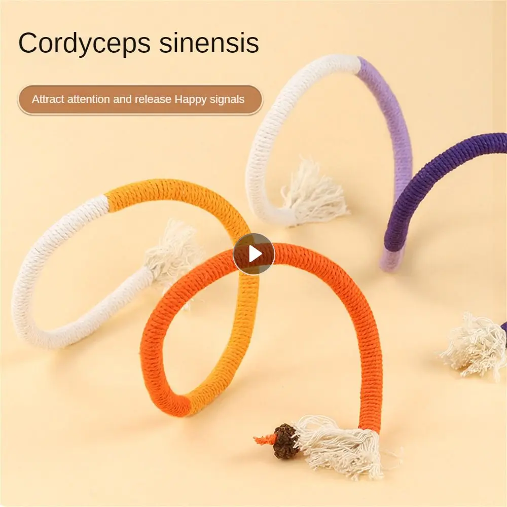 

Interactive Cat Toys Durable Handmade Catnip Toy Ease The Boredom Of Cats Mint Scent Rich And Colorful Molar Toy Relieve Boredom