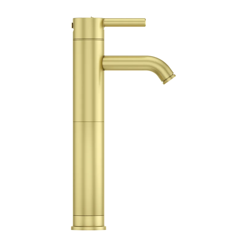 

Single Bathroom Faucet in Brushed