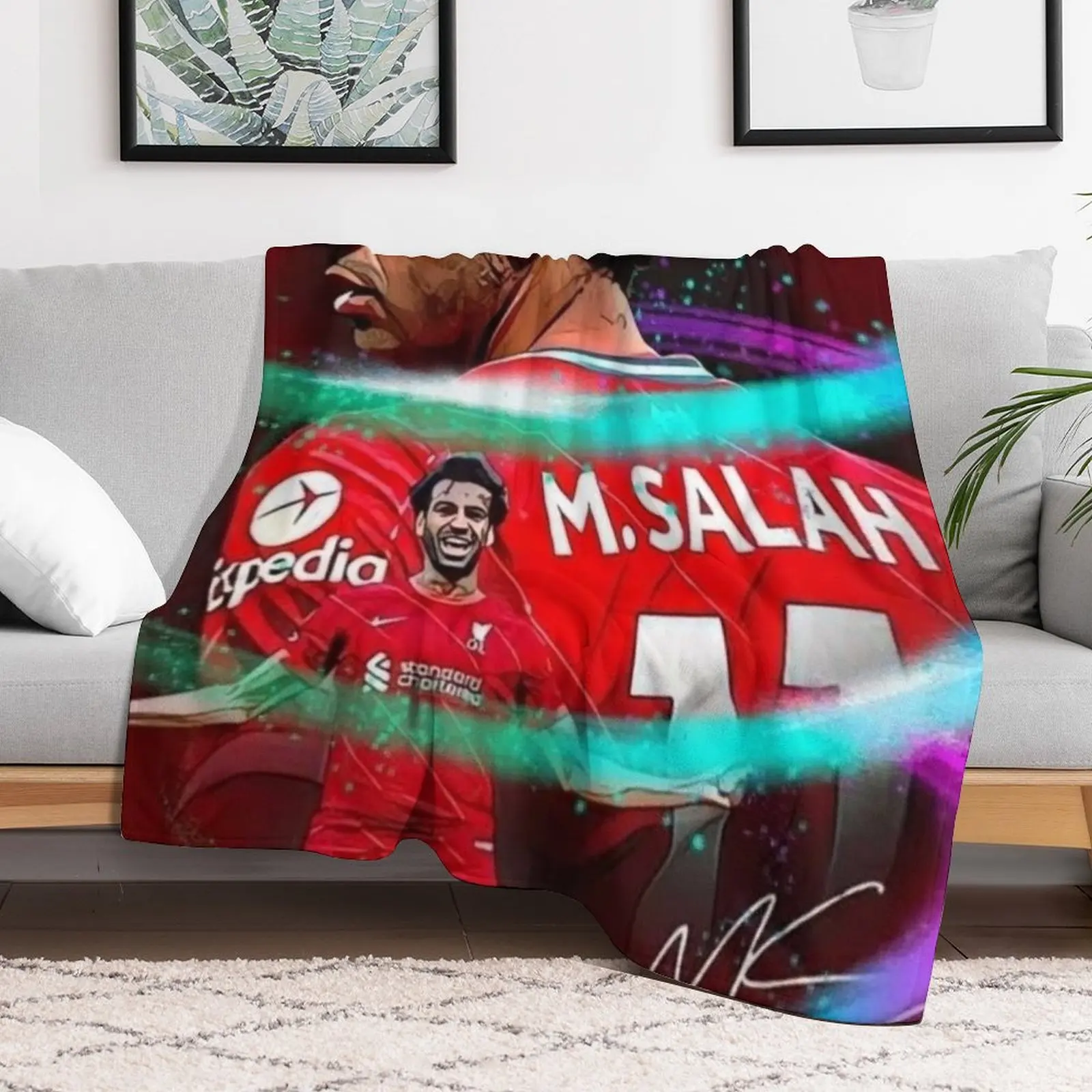 173 пледы одеяла диваны украшения большие