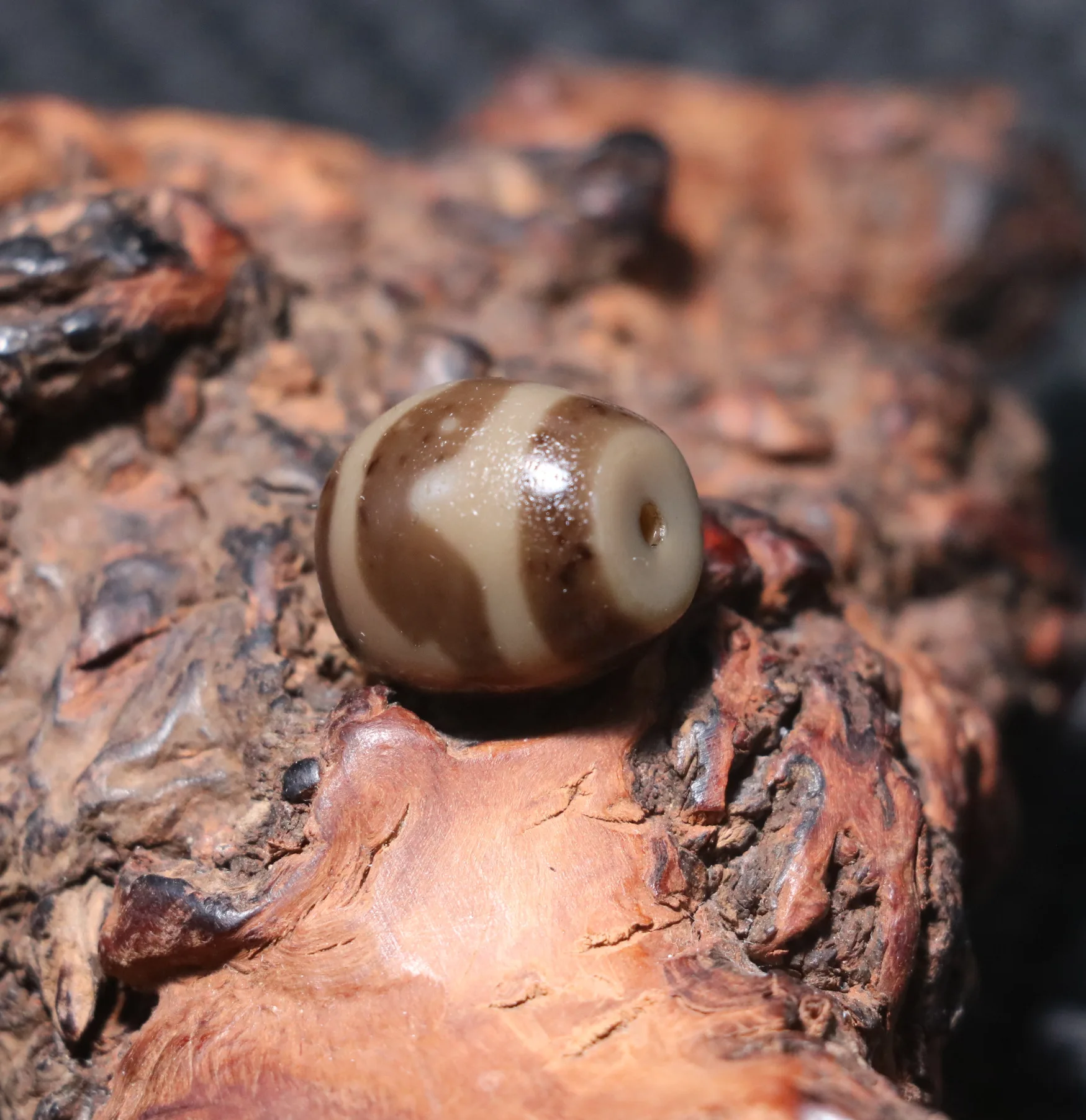 Энергетический тибетский старый агат патина цвета слоновой кости зуб тигра