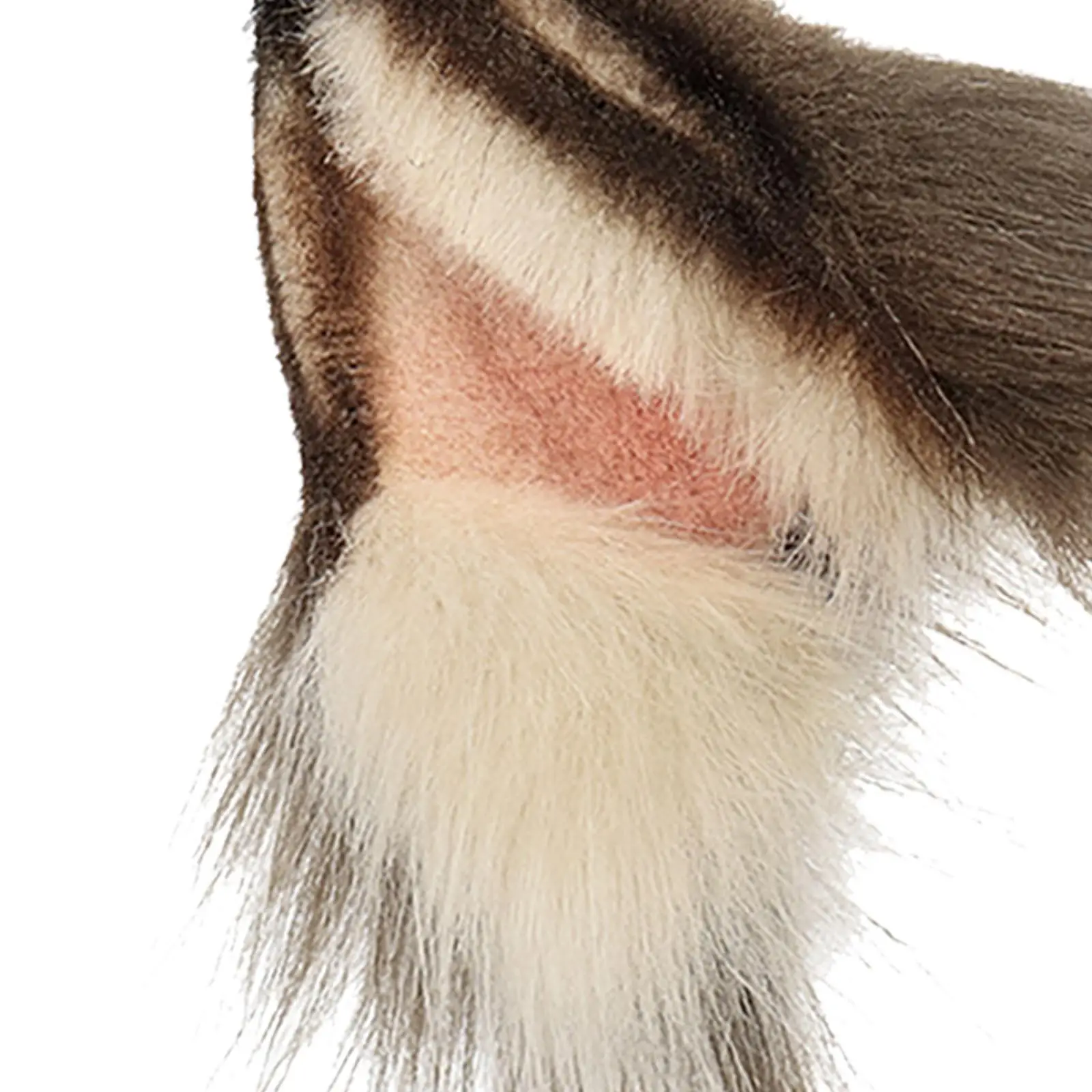 Обруч для волос реквизит косплея головной убор декор женщин и девочек повязка на